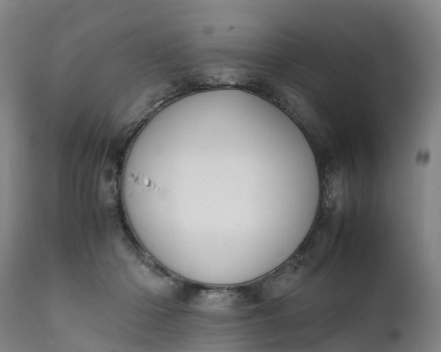 X0000111650414200907311321