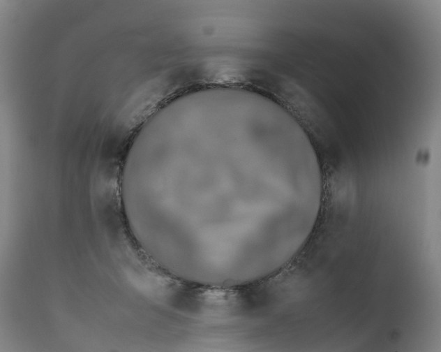 X0000111650415200907311321