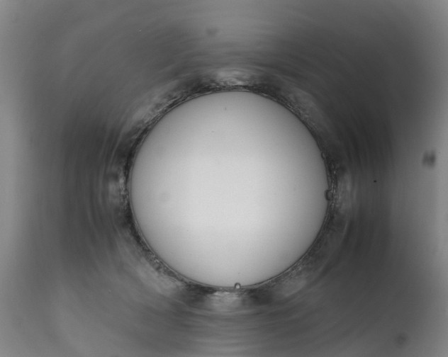 X0000111650418200907311321