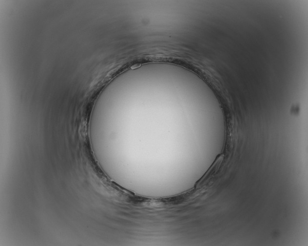 X0000111650419200907311321