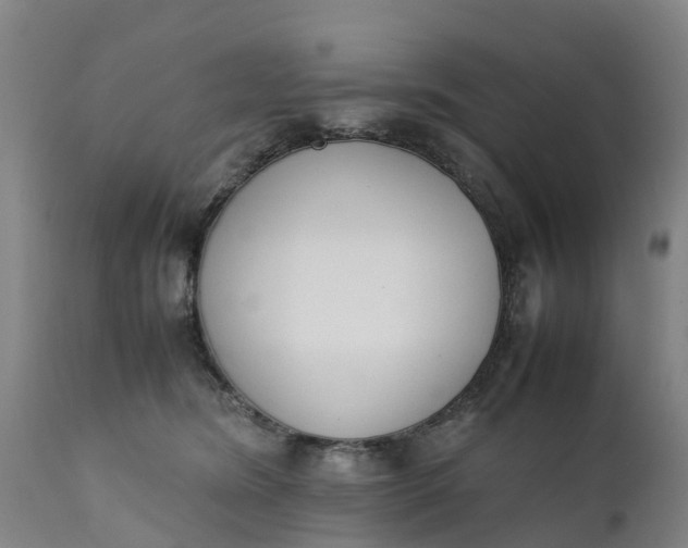 X0000111650420200907311321
