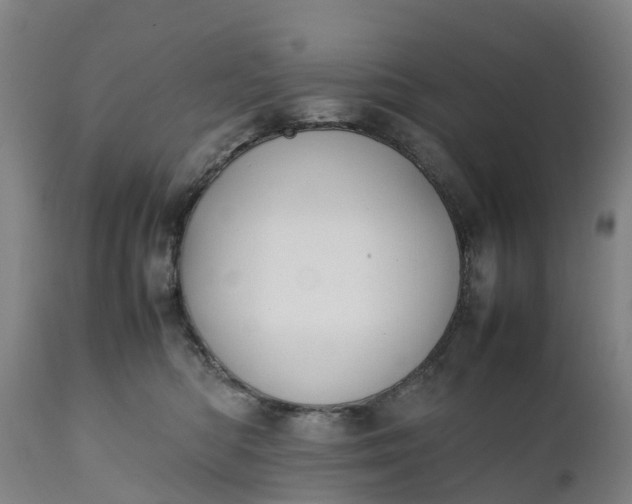 X0000111650422200907311321