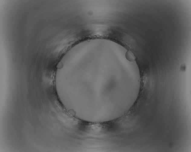 X0000111650423200907311321
