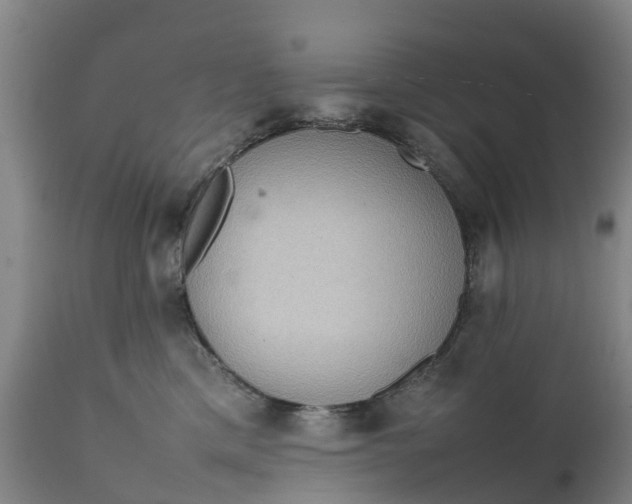 X0000111650425200907311321