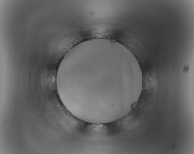 X0000111650427200907311321