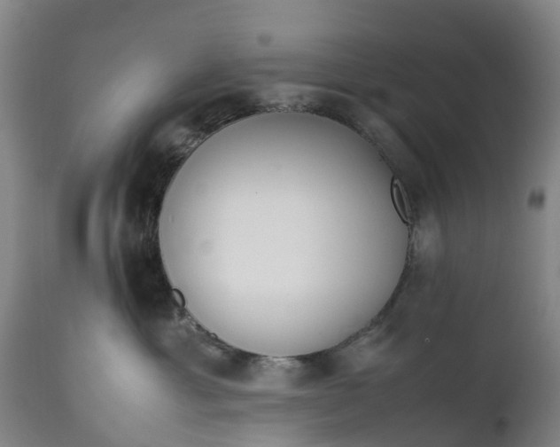 X0000111650429200907311321