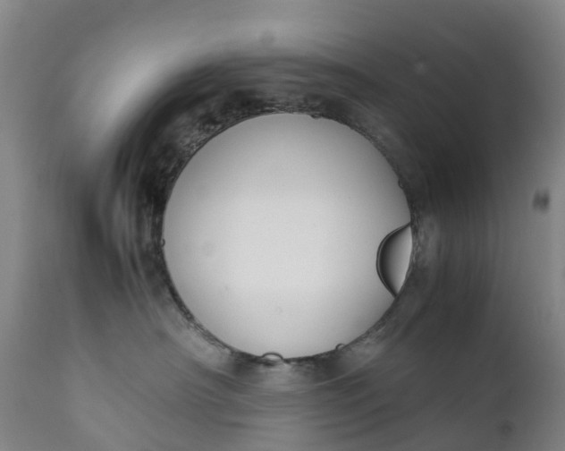 X0000111650430200907311321