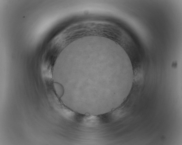 X0000111650431200907311321