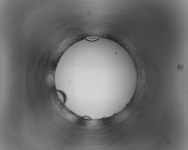 X0000111650432200907311321