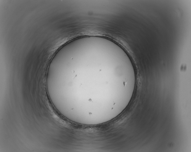 X0000111650433200907311320