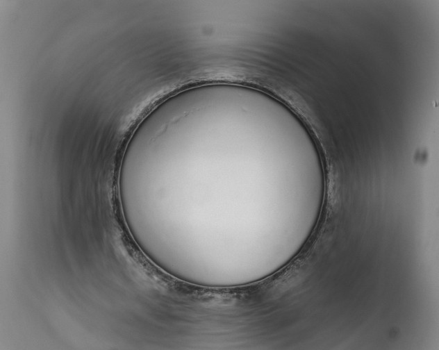 X0000111650434200907311320