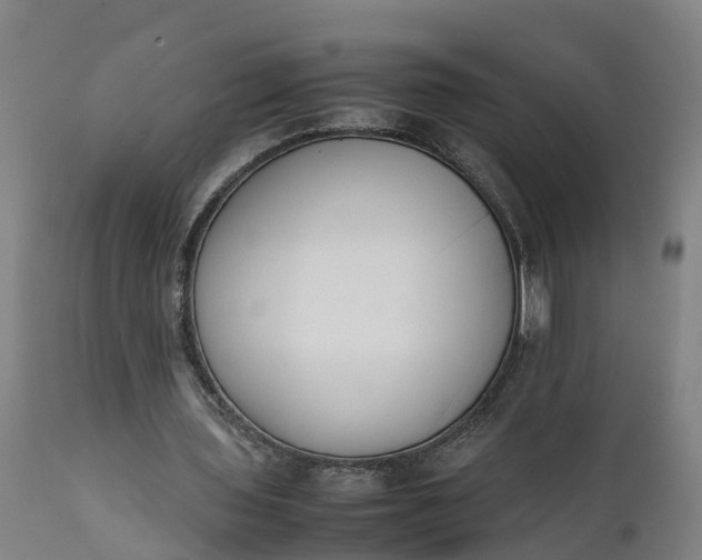 X0000111650435200907311320