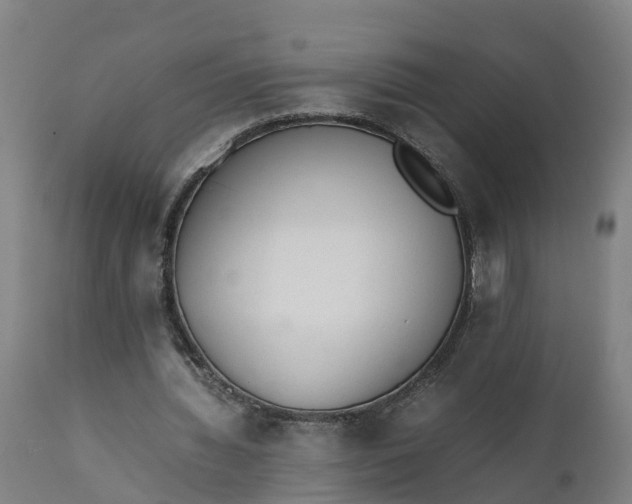 X0000111650436200907311320