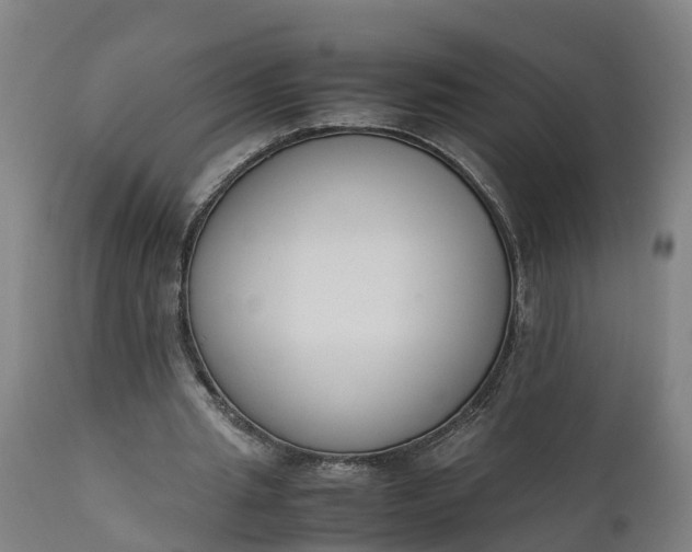 X0000111650437200907311320