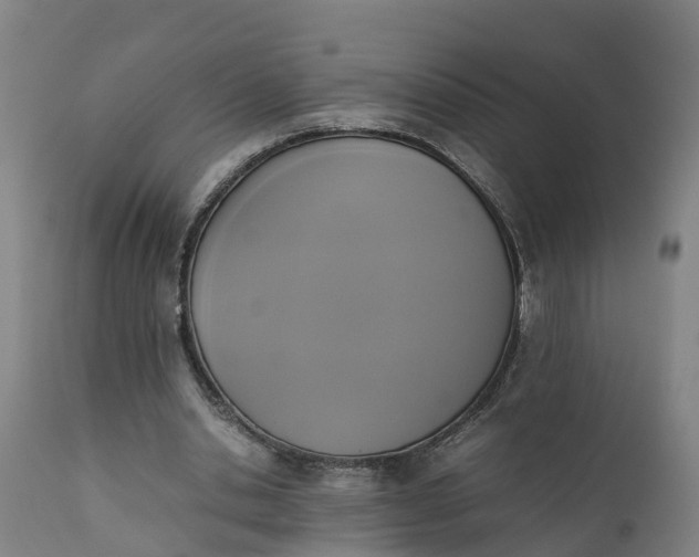 X0000111650438200907311320