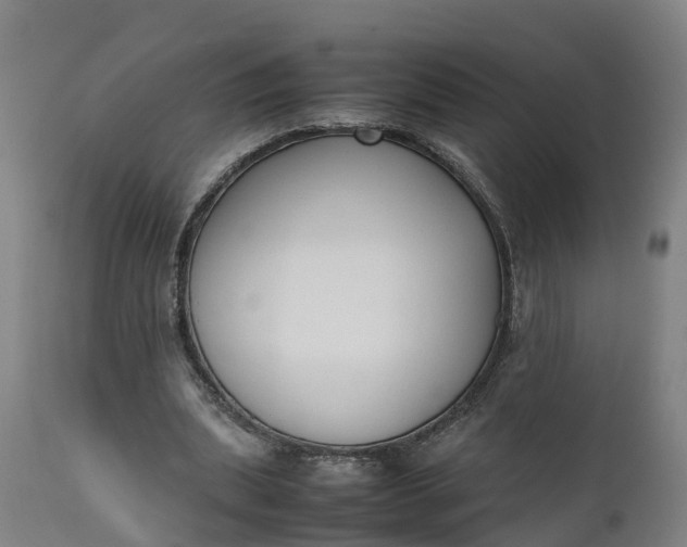X0000111650439200907311320