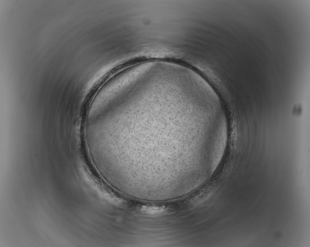 X0000111650440200907311320