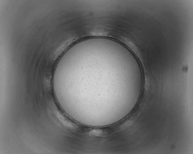 X0000111650441200907311320
