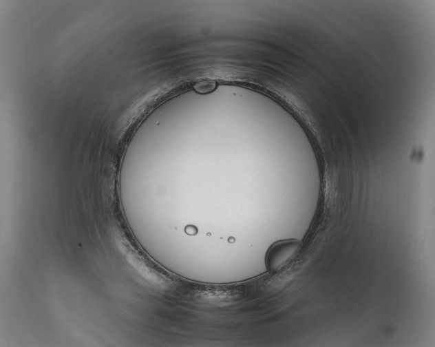 X0000111650445200907311320