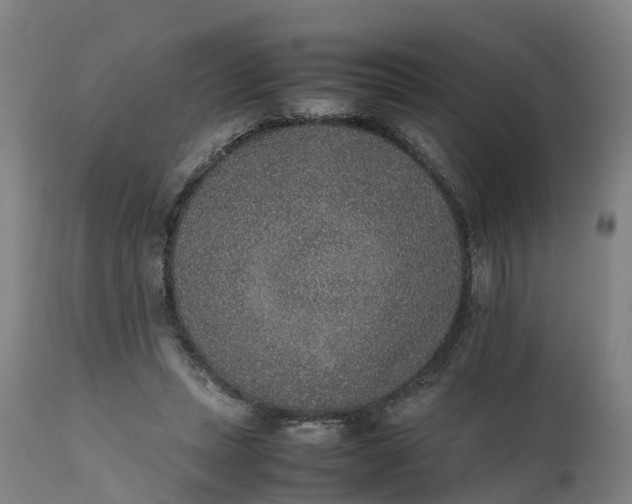 X0000111650447200907311320