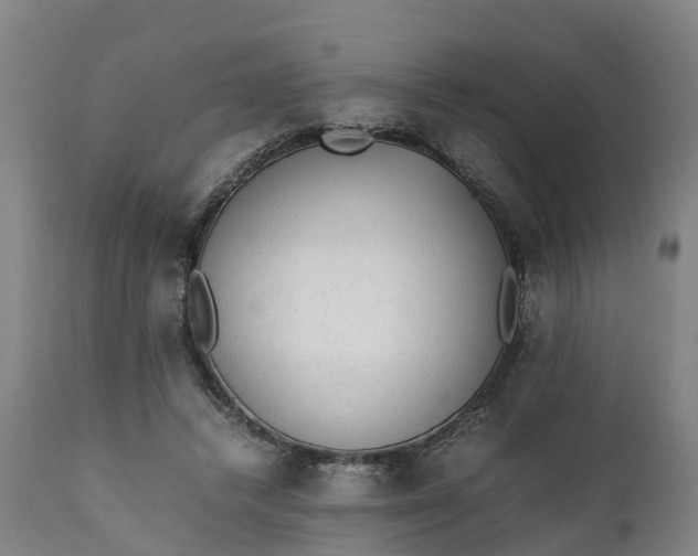 X0000111650448200907311320