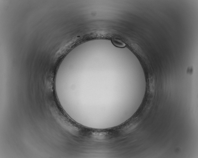 X0000111650450200907311320