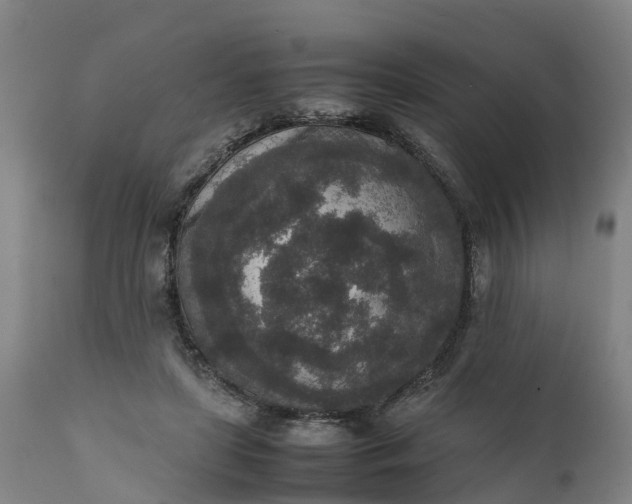 X0000111650451200907311320
