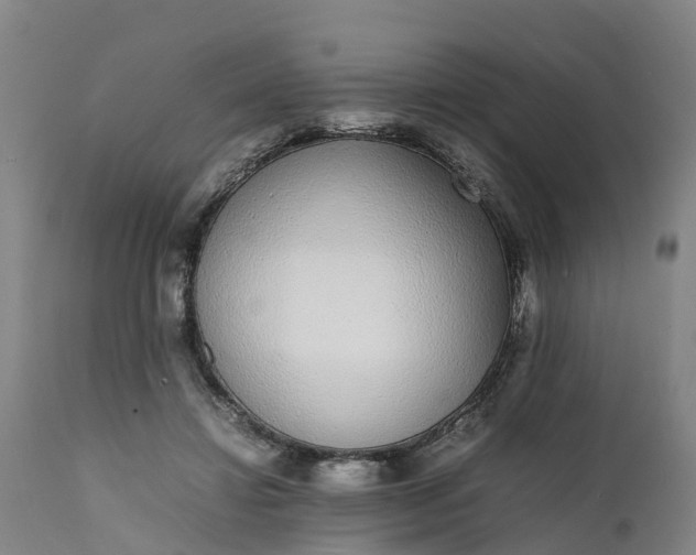 X0000111650452200907311320