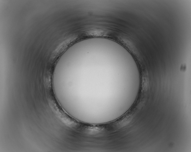 X0000111650453200907311320