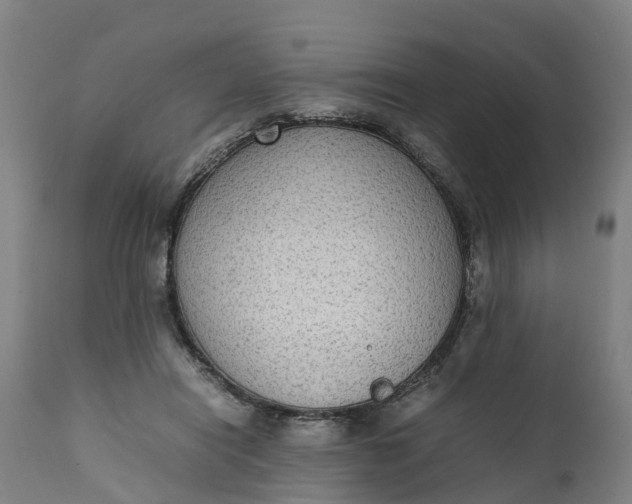 X0000111650454200907311321
