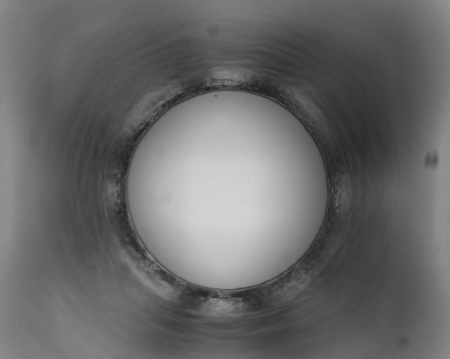 X0000111650455200907311321