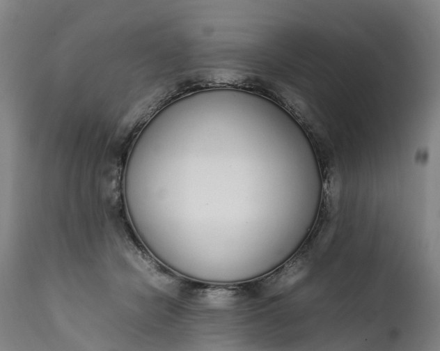 X0000111650462200907311321