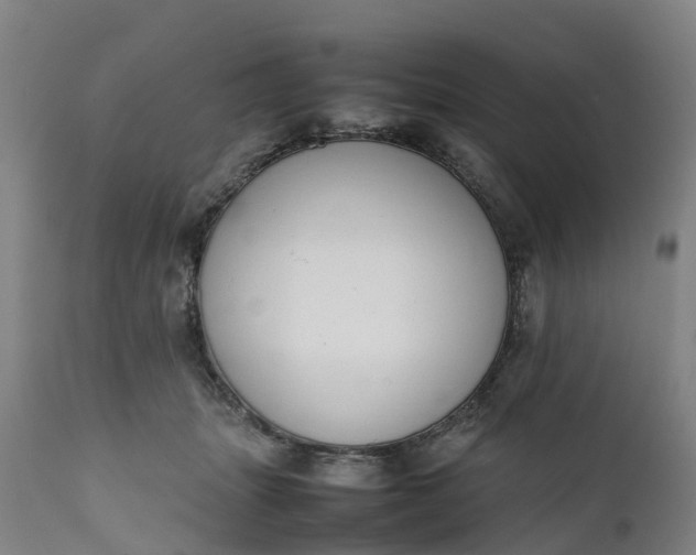 X0000111650463200907311321