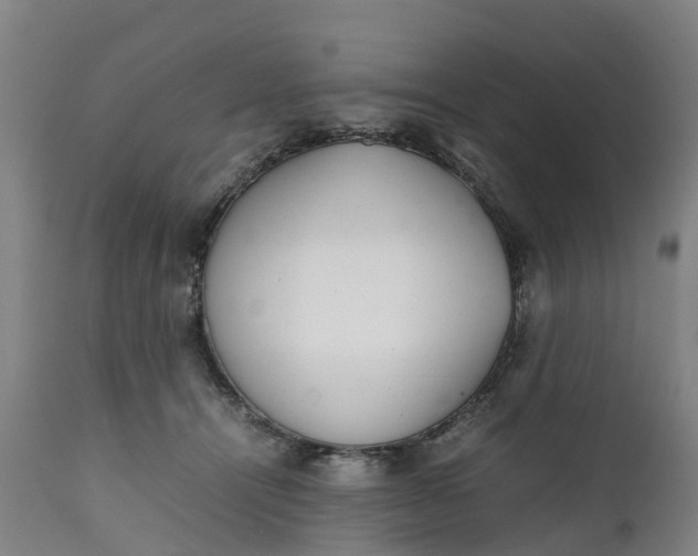 X0000111650464200907311321