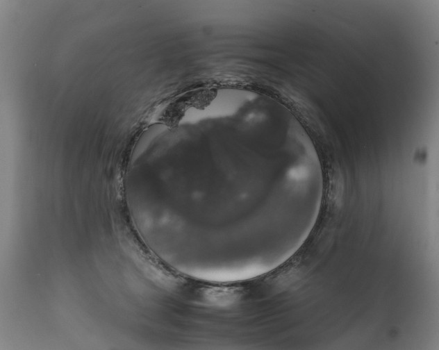 X0000111650465200907311321