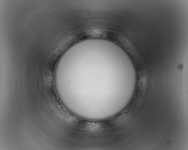 X0000111650469200907311321