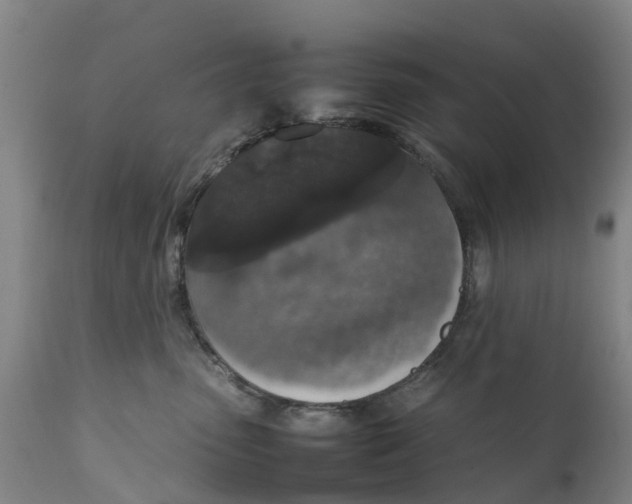 X0000111650475200907311321