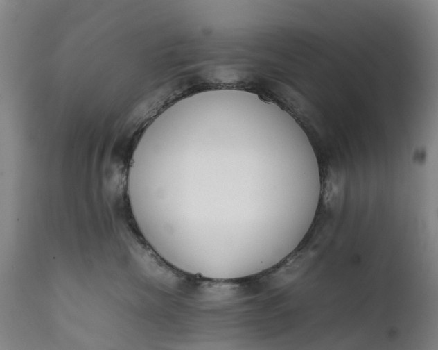 X0000111650476200907311321