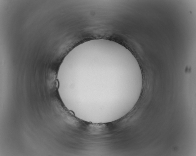 X0000111650480200907311321