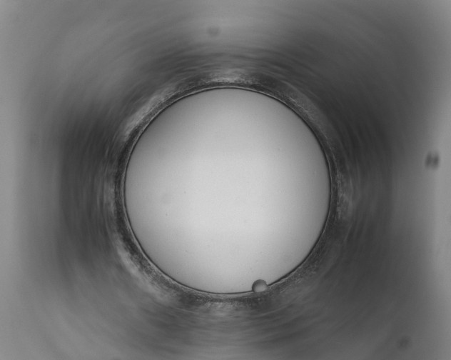X0000111650482200907311320