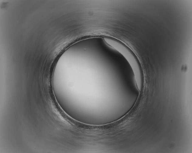 X0000111650485200907311320