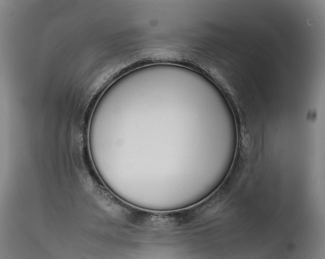 X0000111650487200907311320