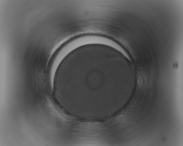 X0000111650488200907311320