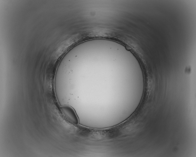 X0000111650489200907311320
