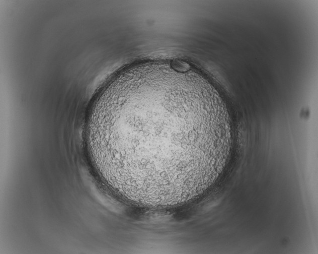 X0000111650491200907311320