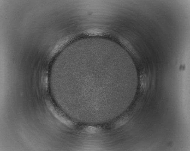X0000111650494200907311320