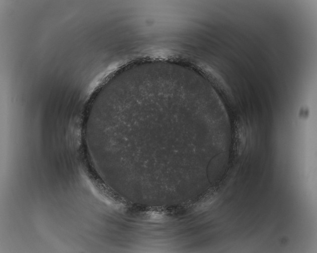 X0000111650496200907311320