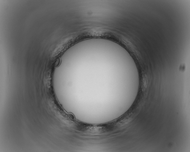 X0000111650497200907311320