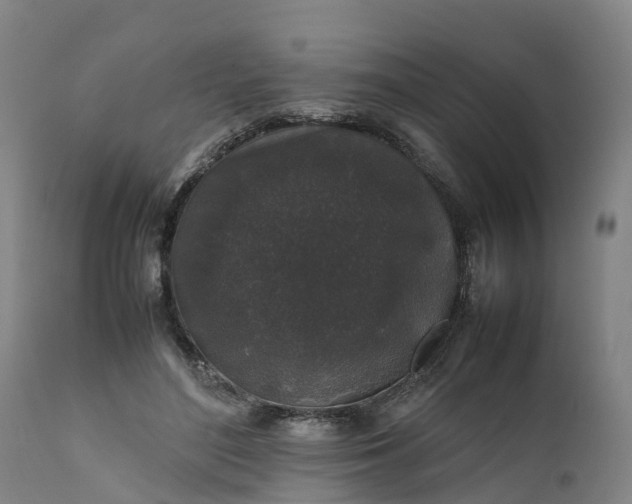 X0000111650500200907311319