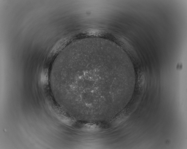 X0000111650502200907311319